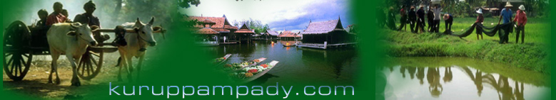 Onam,Merry X'mas & Happy New Year 2012,tourist places in villages,tourism in villages,cochin,Kochi,Kerala,India,Home remedies,Health tips,Beauty Tips,Care,Cure,Food,Health,Sex,Homoeo Remedies,Ayurveda,Village Tourist Places,festivals,pets